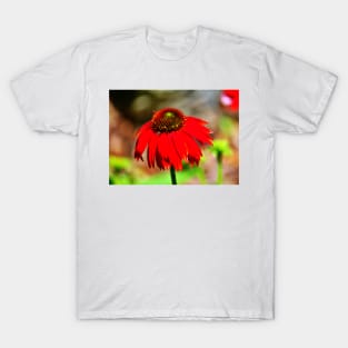 Salsa Red Coneflower T-Shirt